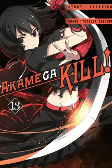 Akame ga Kill – Tom 13